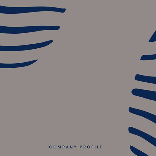 Company Profile [IT/EN]